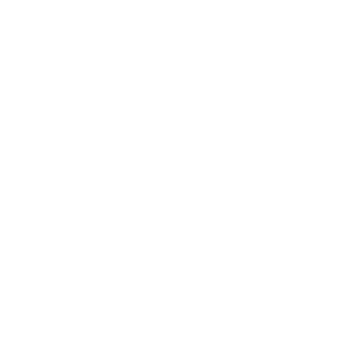 Customer2.AI